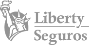 liberty-seguros_logo_conv-gray